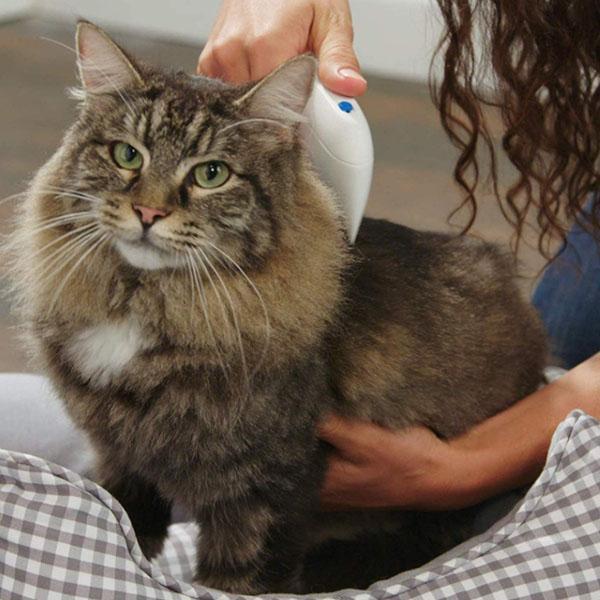 Flea Doctor Electric Pet Flea Removal Brush and Comb