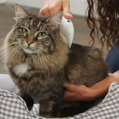 Flea Doctor Electric Pet Flea Removal Brush and Comb