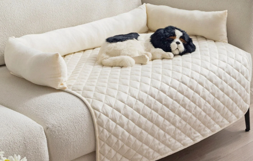 Waterproof Anti-Dirty Pet Mat