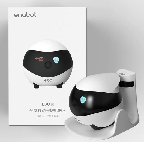 Robot Monitoring Mobile Camera