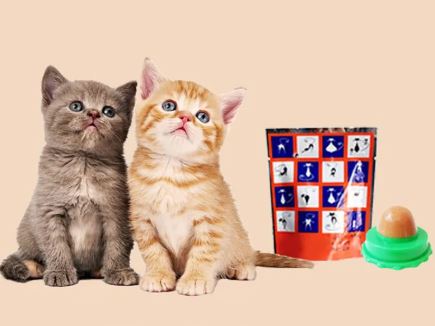 Catnip Lick Ball Toy  – Tasty & Fun Treat!