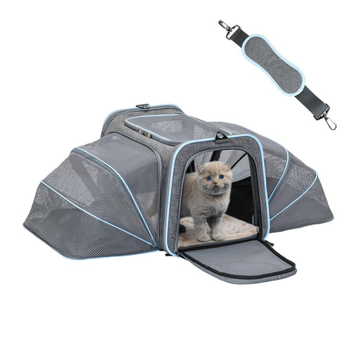 Petsfit Expandable Cat Carriers Airline Approved 16"x10"x9" Small Dog Carrier Soft-Sided Portable Washable Pet Travel Carrier with Two Extension for KittenRabbit Puppy Small Animal