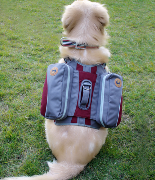 Pet Self-Backpack Portable Travel Bag with Detachable Chest