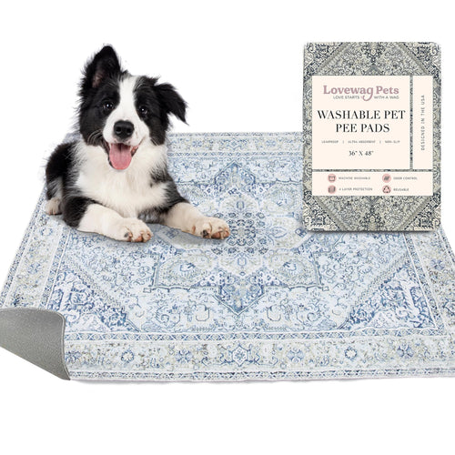 Lovewag Washable Pee Pads for Dogs | Anti Slip Reusable Pee Pads | Super Absorbent and 100% Waterproof Puppy Pee Pads | Leak-Proof Training Pad | Washable Dog Pads (Silvered Blue)