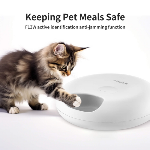 Smart WiFi 6-Meal Automatic Cat & Dog Feeder with App Control and Ice Packs