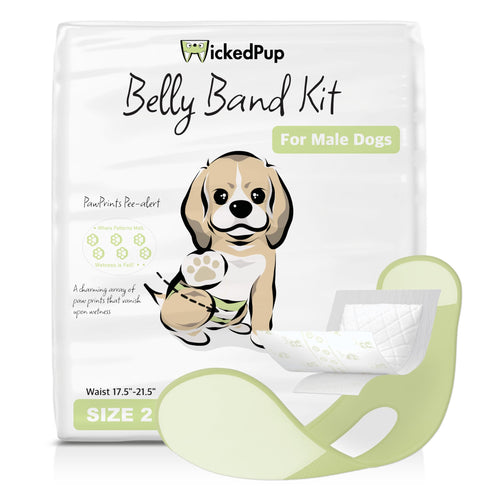 WICKEDPUP Male Dog Belly Band Kit 50 Diaper Pads & 1 Reusable Male Wrap (Size 2)