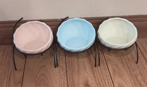 Pet Supplies Elevated Cat and Dog Bowls with Slant Design