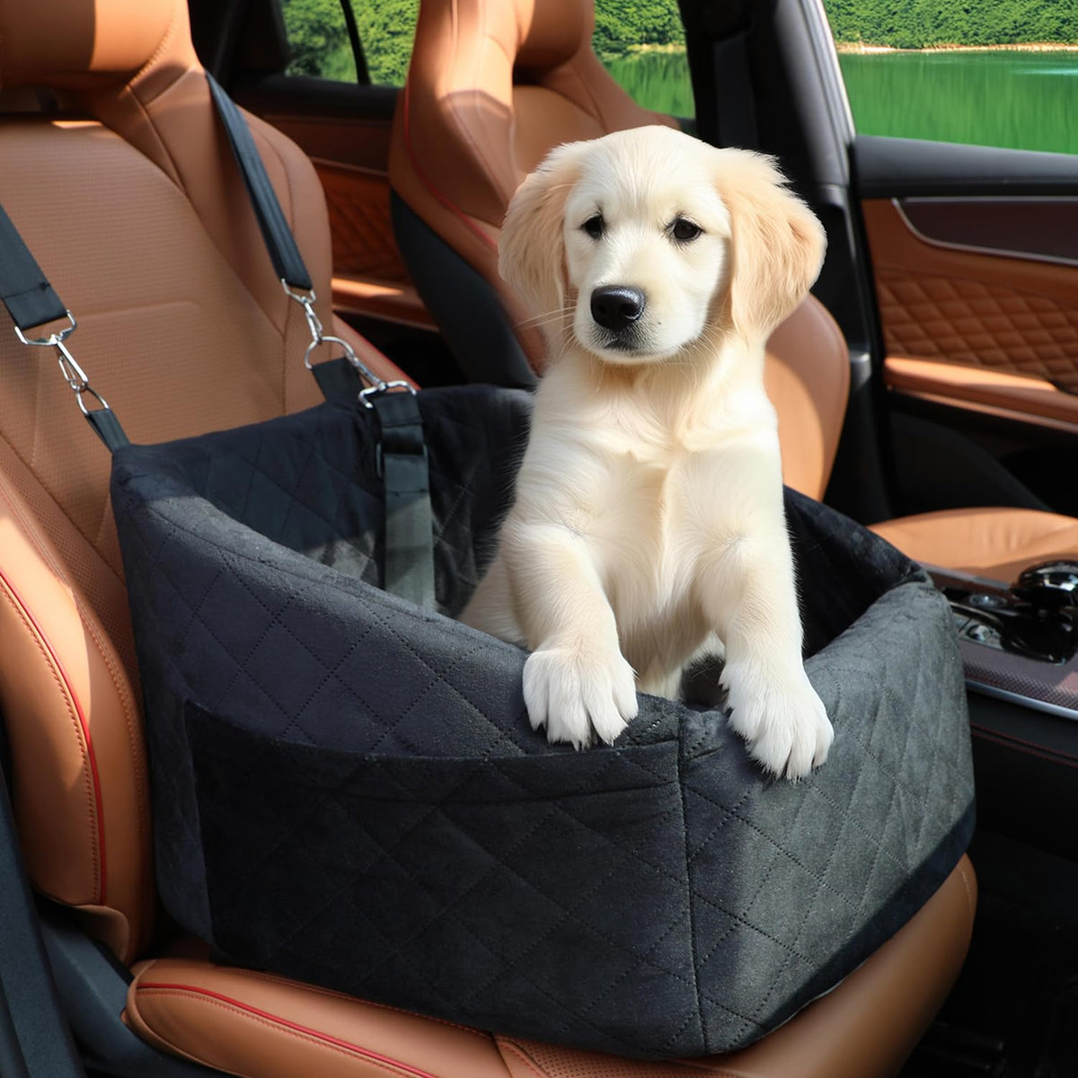 XBwig Small Dog Car Seat for Under 30lbs Dog Booster Seat Detachable Washable Pet Car Seat with Safety Leash and Storage Pockets Black Puppy Travel Bed