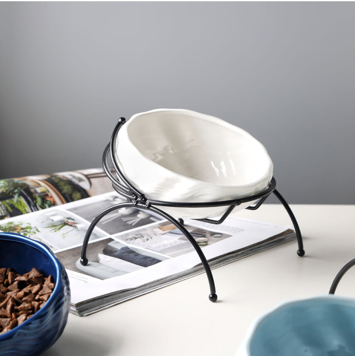 Pet Supplies Elevated Cat and Dog Bowls with Slant Design