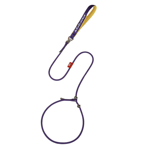 Slip Lead Dog Leash 5 FT Dog Training Leash with Metal Stopper Durable No Pulling Dog Lead Leash with Comfortable Handle Nylon Heavy Duty Rope Dog Leash for Large Medium Small Dogs (Purple)