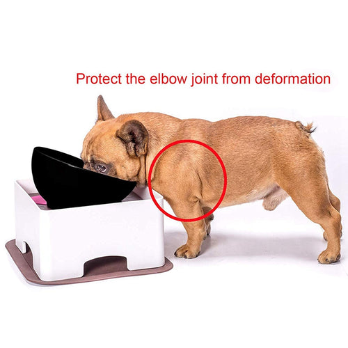 Pet Feeding Station for Cats and Dogs with Bowls