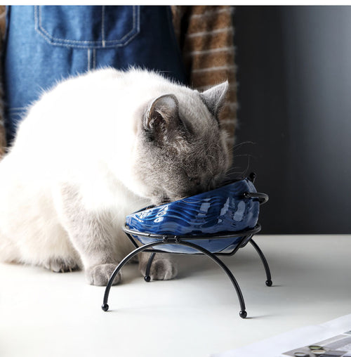Pet Supplies Elevated Cat and Dog Bowls with Slant Design